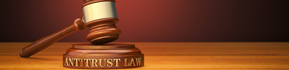 Navigating Antitrust Disputes as Pro Se Litigants: Drafting Monopoly Challenges