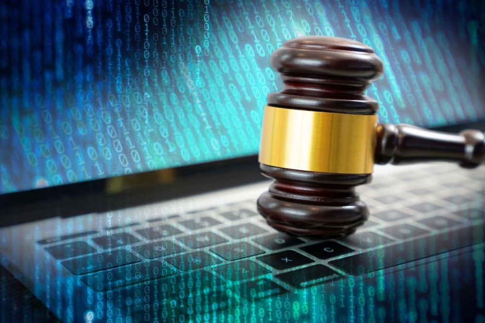 Pro Se Litigants in Cybersecurity Breach Lawsuits: Filing Data Privacy Claims