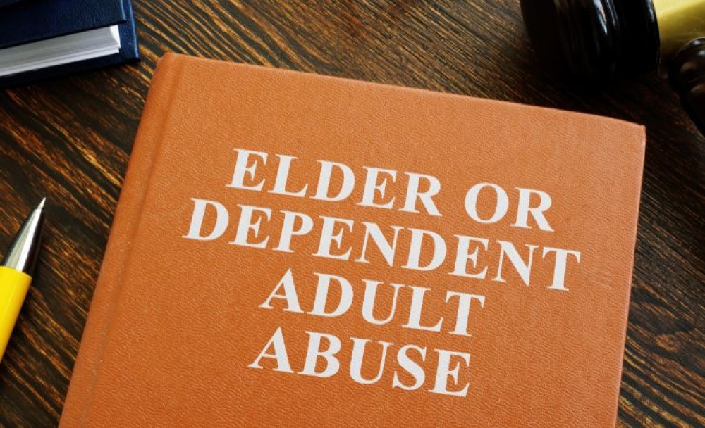 Empowering Pro Se Litigants in Elder Abuse Cases: Drafting Protective Orders