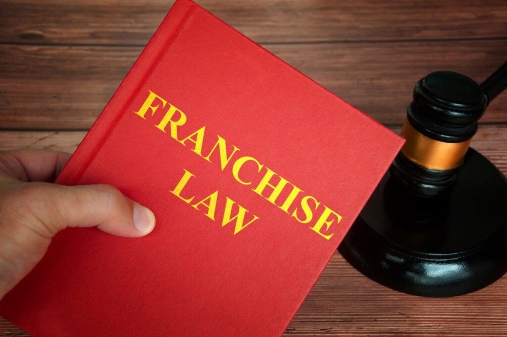 Pro Se Litigants Handling Franchise Disputes: Preparing Termination Challenges