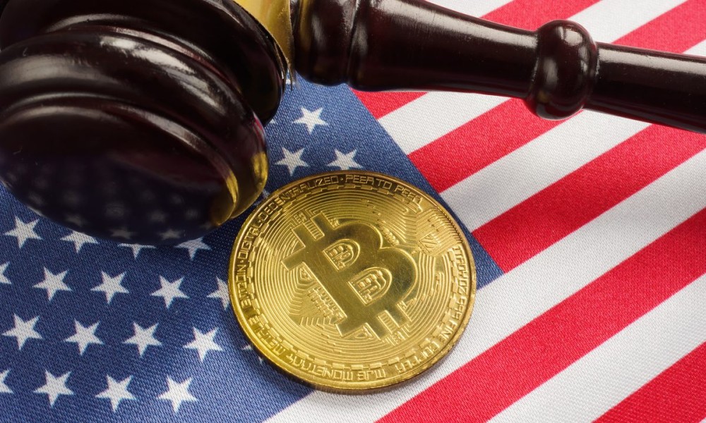 Pro Se Litigants Handling Cryptocurrency Disputes: Drafting Theft Recovery Claims
