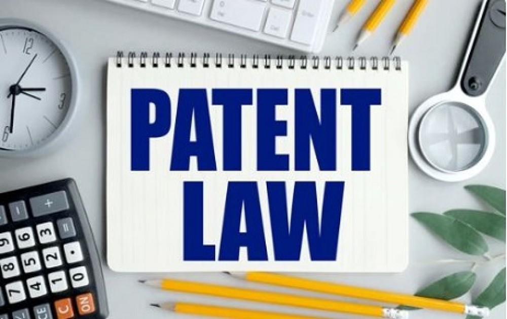 Pro Se Litigants Handling Biotech Patent Disputes: Preparing Interference Proceedings